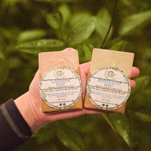 Seasonal Body Soap Bar