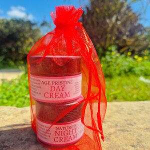 Day and Night Cream Set