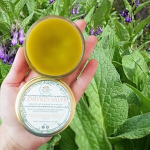 Comfrey Salve